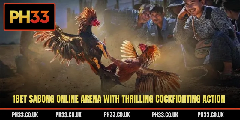 1Bet Sabong Online Arena With Thrilling Cockfighting Action