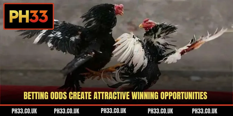Betting odds create attractive winning opportunities