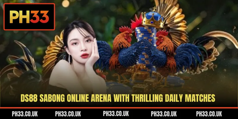 DS88 Sabong Online Arena With Thrilling Daily Matches