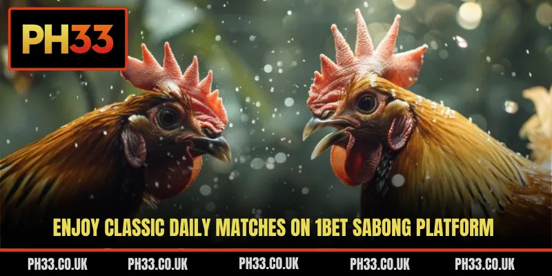 Enjoy classic daily matches on 1Bet Sabong platform