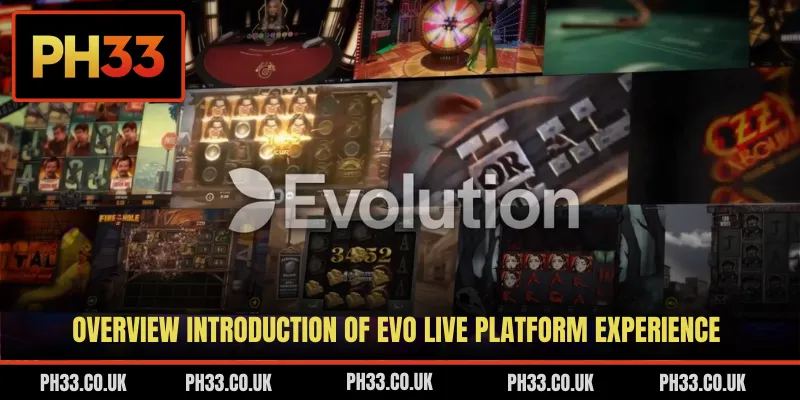 Overview introduction of EVO live platform experience