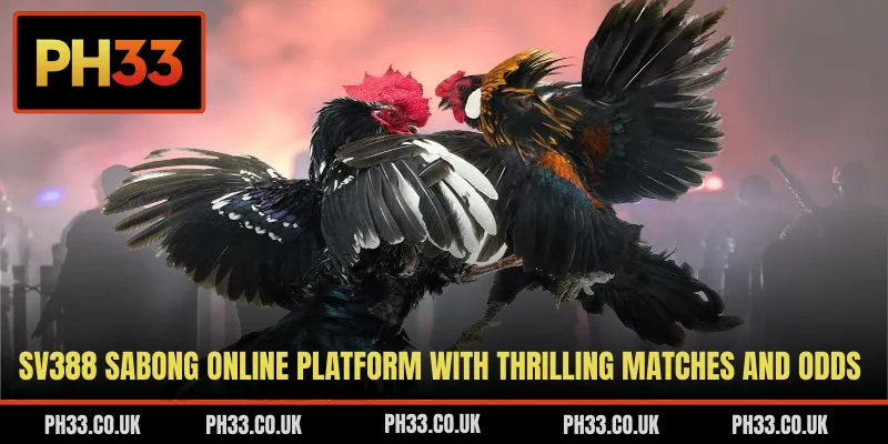 SV388 Sabong Online Platform With Thrilling Matches And Odds